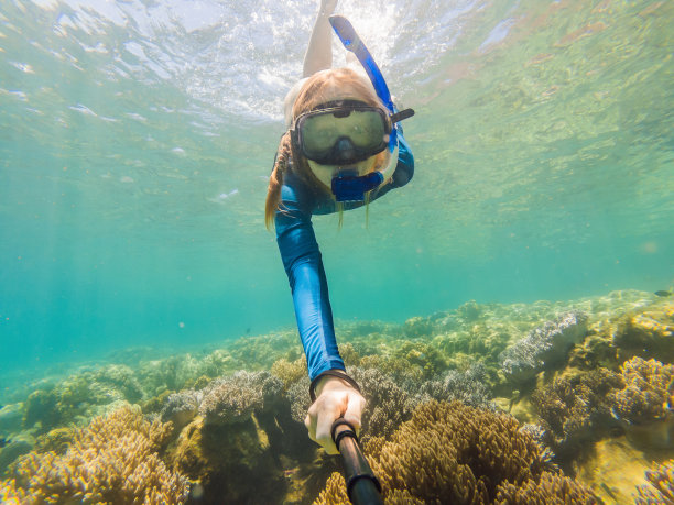 在热带水域浮潜的年轻女子图片下载