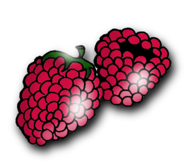 树莓图片下载