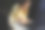 女设计师晚上在家办公图片下载