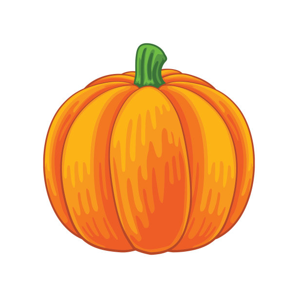 卡通风格的白色背景南瓜矢量插画图片下载