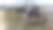 农业概念，日记牛吃干草在现代自由牲畜栏图片下载