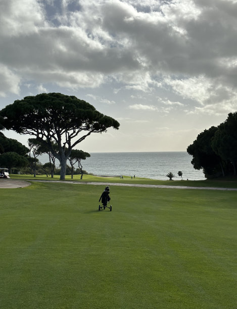 高尔夫球袋位于高尔夫球场的球道上图片下载