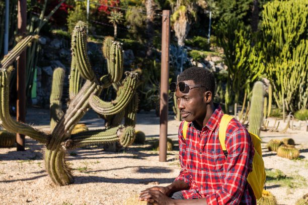 一名非洲男子在有仙人掌的花园里沉思。图片下载