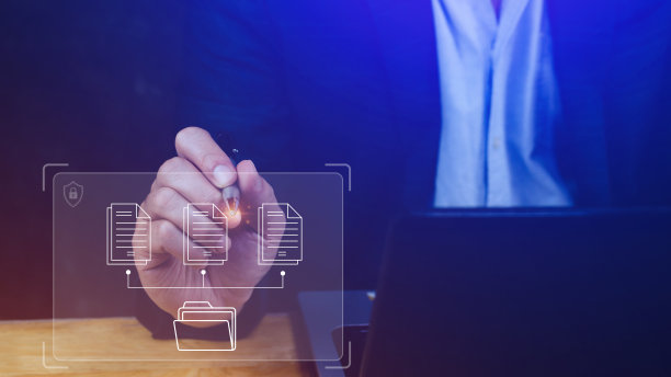 文档管理系统(DMS):在办公室笔记本电脑上工作的IT顾问，用于归档、查询和管理公司文件信息的软件图片下载