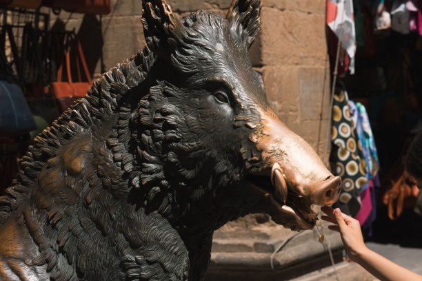 Fontana del Porcellino酒店，意大利佛罗伦萨图片下载