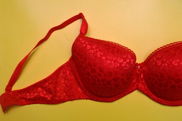 文胸内衣图片下载
