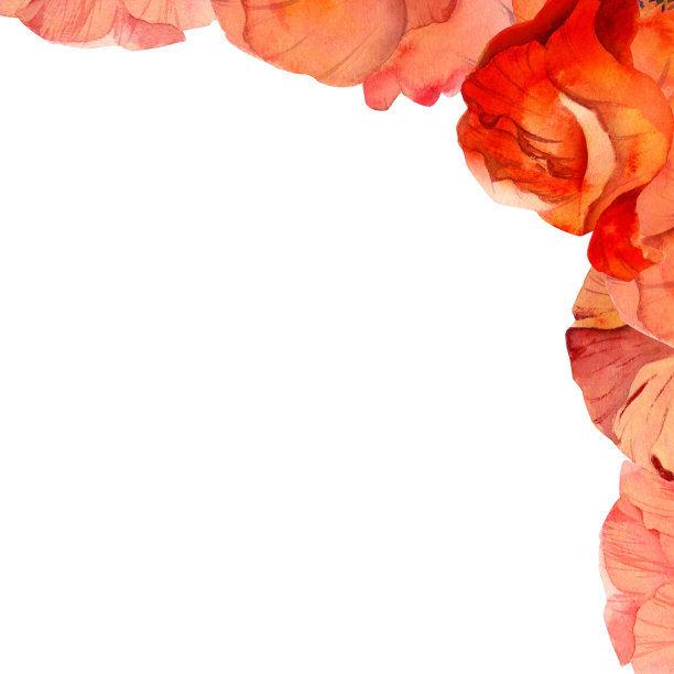 水彩方框构图，手绘夏日鲜红罂粟花。孤立在白色背景上。设计邀请，婚礼，爱情或贺卡，纸，印刷，纺织品图片下载