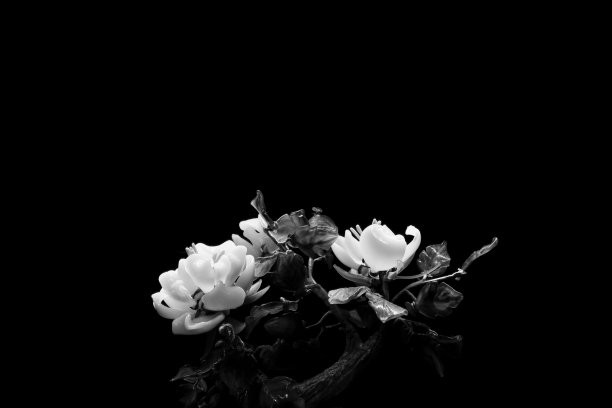 玻璃花图片下载