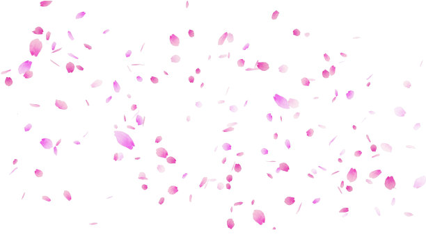 樱桃暴雪的背景插图与粉红色的樱桃花瓣跳舞图片下载