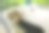 柯基威尔士彭布罗克与湿毛皮站在浴室沐浴后，洗在美容沙龙图片下载
