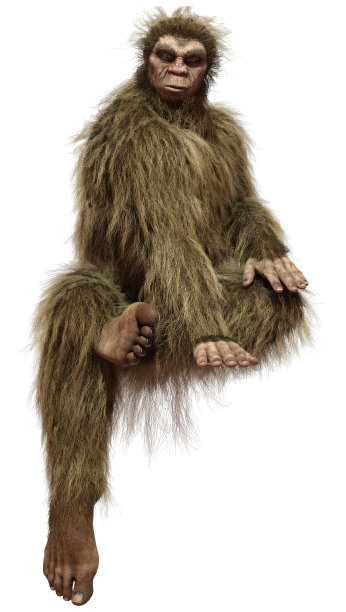 三维渲染大脚野人在白色图片下载