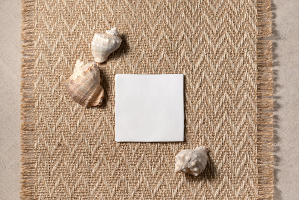 简约的方形审美中性的夏日度假质感。米色纺织品背景上的贝壳特写视图。图片下载