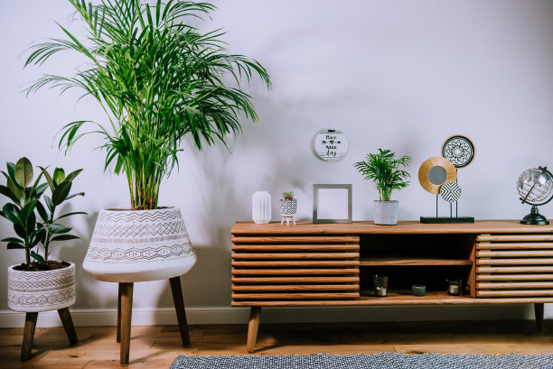 斯堪的那维亚式家居内饰，装饰配件立在木制橱柜上。房间内部的极简主义设计，绿色植物和白色墙壁，复制空间。化的风格图片下载