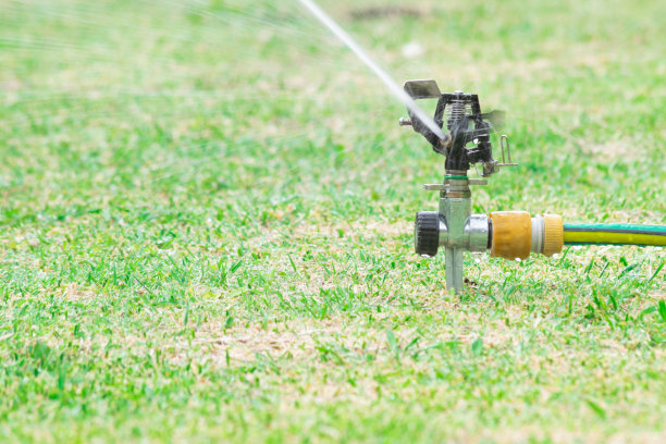 黑色花园洒水车图片下载