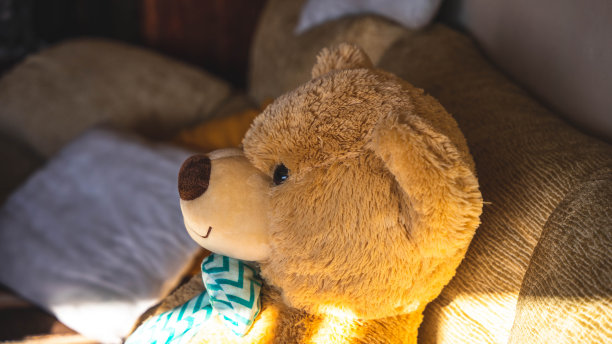 泰迪熊图片下载