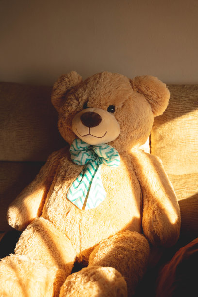 泰迪熊图片下载