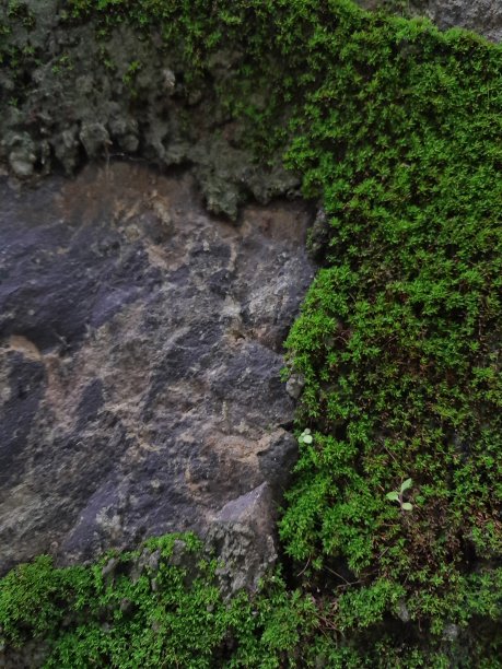 自然的纹理图片下载