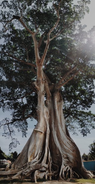 巴厘岛旅游景点图片下载