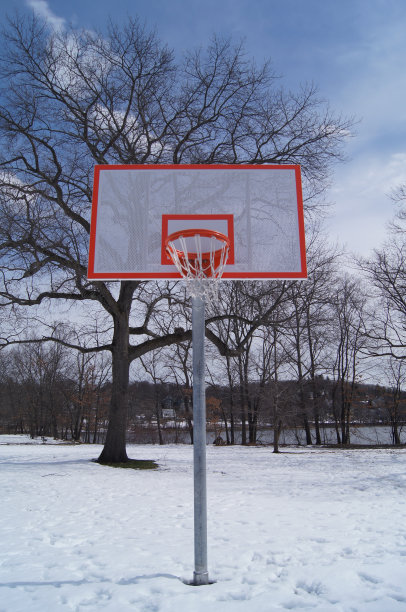 冬天的雪和树前的篮球框图片下载