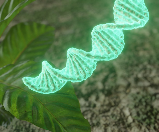 被照亮的DNA链和植物叶子图片下载