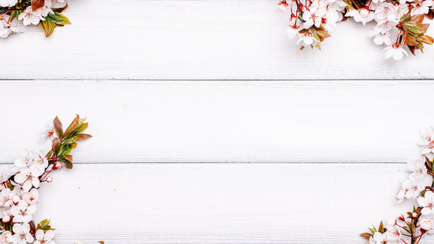 樱花春花和四月花卉自然木制背景。3月8日的横幅，复活节快乐与文字的地方。春天的概念。前视图。平的。图片下载