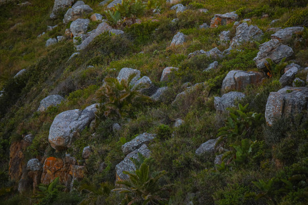 狂野海岸岩石细节/纹理图片下载