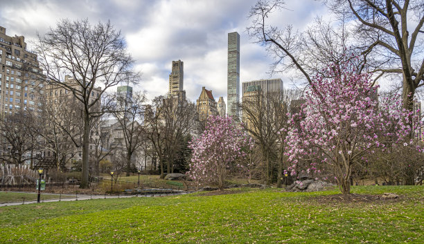 春天的中央公园图片下载