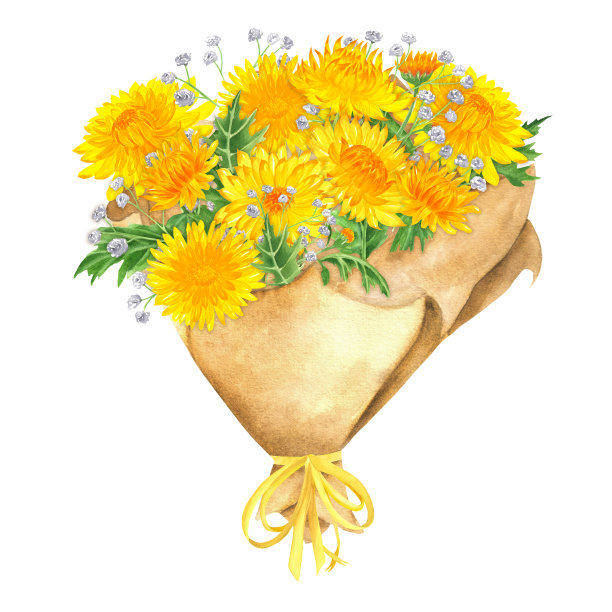 手绘水彩花束与黄菊和吉卜草图片下载