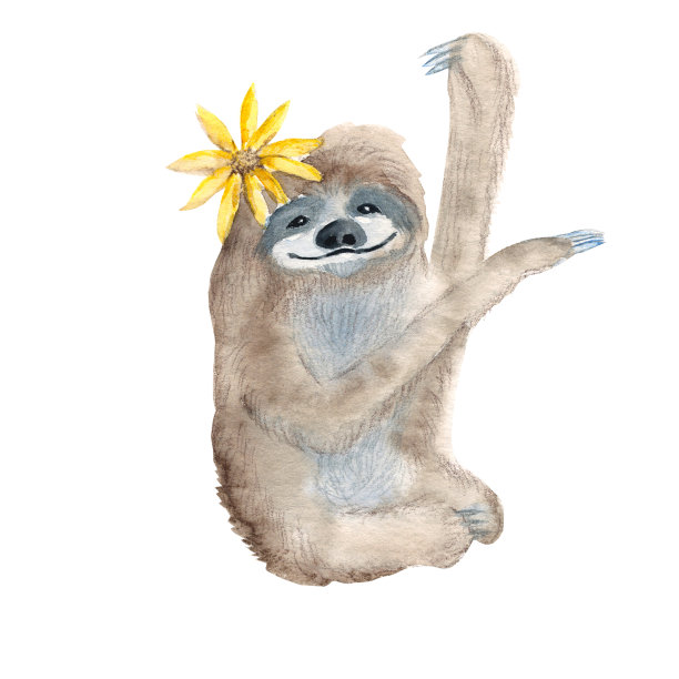 白色背景上分离出可爱的xenarthra。水彩手绘插图。完美的儿童卡片和海报，墙纸，字母设计，剪贴簿。图片下载