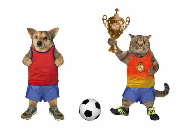 狗和猫是足球运动员图片下载