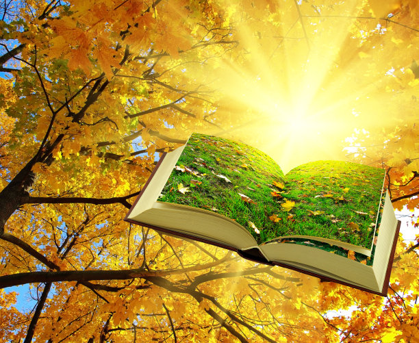 一张以树为背景的打开的书的图片，阳光透过树叶照进来图片下载