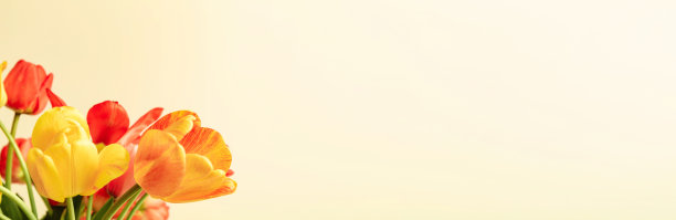花束的细节多彩郁金香在复古风格米色背景与复制空间。的名片。邀请的明信片。发送问候短信的地方。国际假日。横幅图片下载