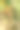 垂直特写的普通飞镖蜻蜓，纹状斑虫坐在树枝上图片下载
