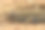 濒临灭绝的大分蝾螈的特写图片下载