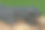 详细特写的头部陆地巴尔干冠蝾螈，Triturus ivanbureschi图片下载