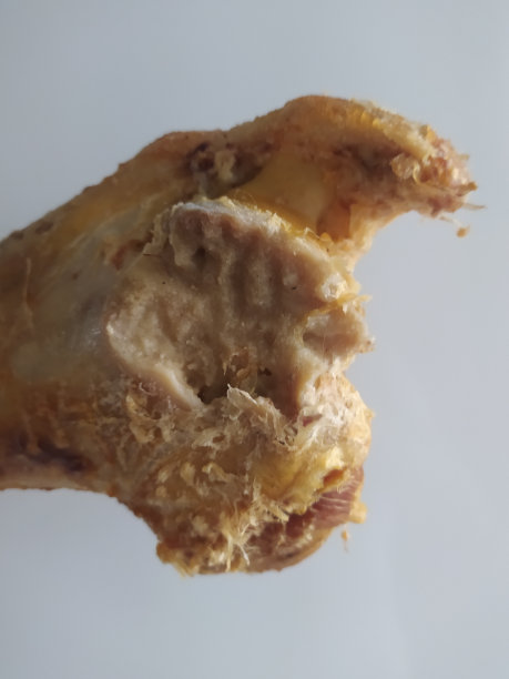 被狗咬的牛大腿骨图片下载