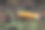 黄色线和顶针在Vintage中国黑丝绸图片下载