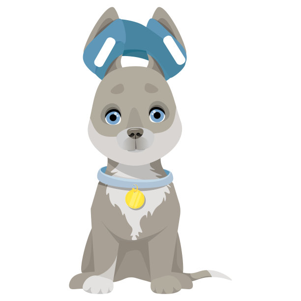 缠着绷带的狗图片下载