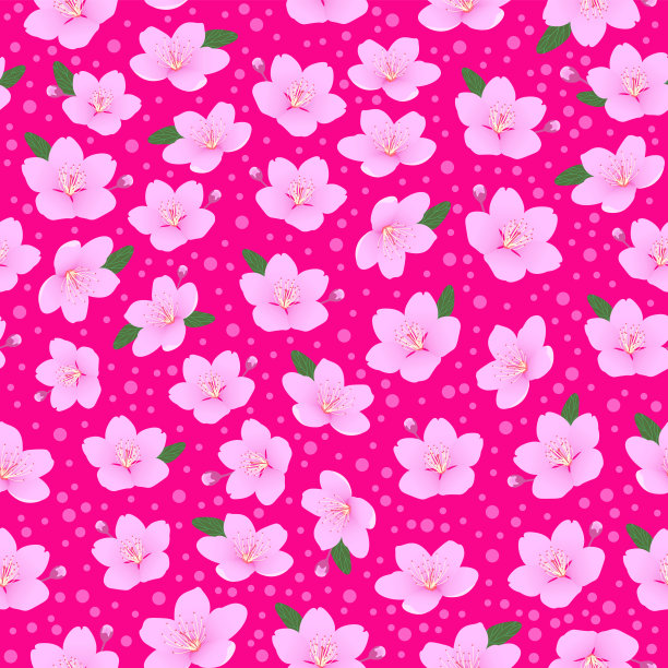 粉色印花。傻乎乎的樱花花无缝图案。和服洋红万岁。樱花开花。图片下载