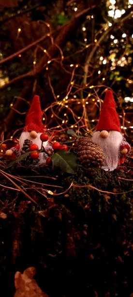 两个圣诞老人的垂直镜头，背景是散景图片下载