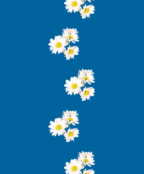 简单的背景艺术概念新鲜的白花。图片下载