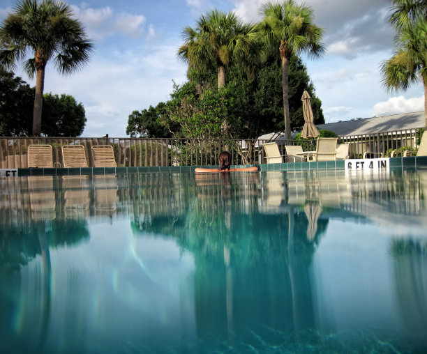 美丽的年轻女子在游泳池放松图片下载