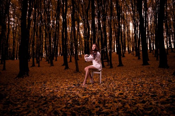 年轻有魅力的女人坐在森林里的长凳上演奏小提琴图片下载