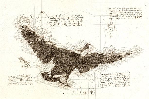 达·芬奇风格的展翅飞鹅素描。图片下载