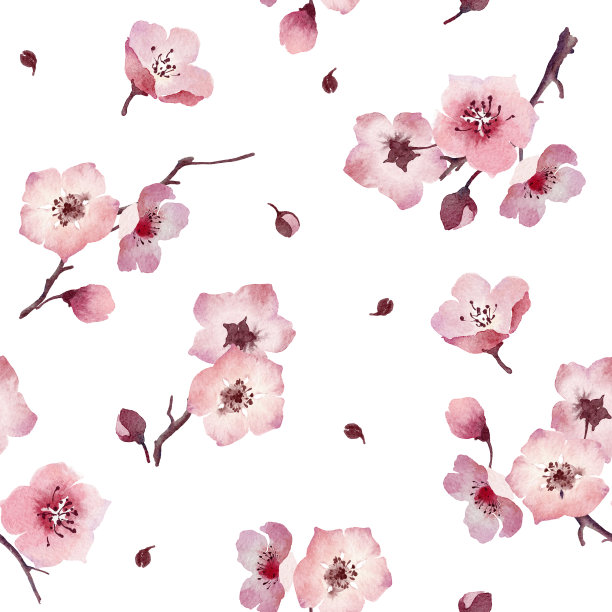 水彩春天樱花花无缝图案图片下载