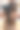 一名女子抱着两只约克夏犬幼犬图片下载