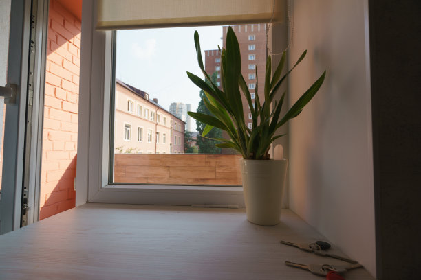 加里宁格勒市的中产阶级公寓内部。图片下载