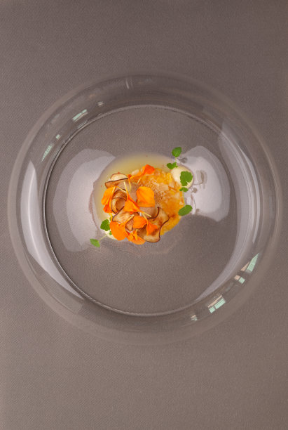 在米其林星级餐厅的素食开胃菜南瓜和蘑菇图片下载