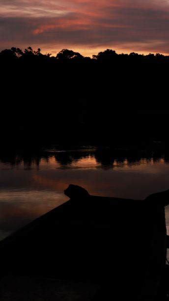 美丽的湖景在生动的日落图片下载