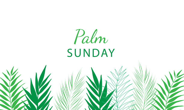 棕枝主日-基督教节日的问候横幅模板，与棕榈树树叶的背景。图片下载
